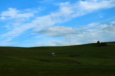 Mavi gökyüzü ile yeşil alan