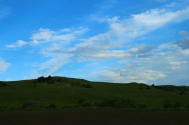Çimen ve mavi gökyüzü olan güzel bir manzara.