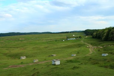Arka planda bir çiftlik manzarası
