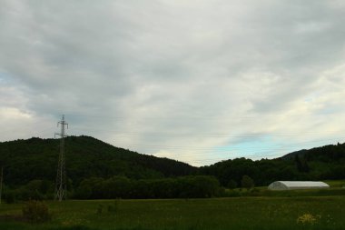 Yeşil bir tarlada manzara