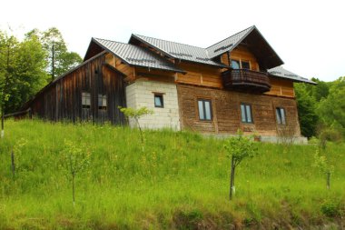 Ormandaki ev.