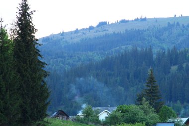 Dağları ve ağaçları olan güzel bir manzara.