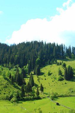 Alp dağlarının manzarası.