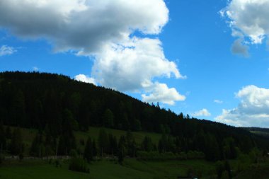 Arka planda yeşil orman ve dağlar