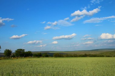 Mavi gökyüzü ve bulutlar arka planda yeşil alan