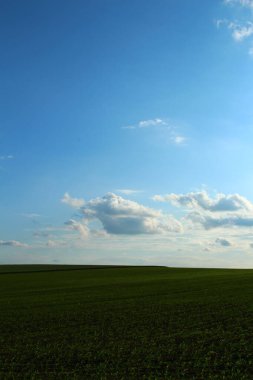 Mavi gökyüzü, beyaz bulutlar ve yeşil tarlalarla güzel bir manzara.