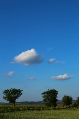 Mavi gökyüzü ve beyaz bulutlar