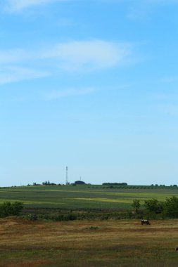 Kırsal alandaki manzara, ağaçlar...