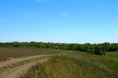 Yeşil tarlalı, mavi gökyüzü ve bulutlu manzara