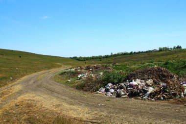 Ormanın içinde çöp