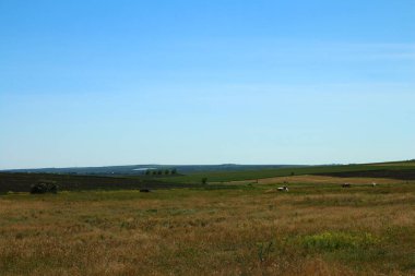 Arkasında bir dağ olan güzel bir manzara.