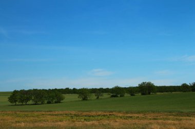 Kırsalda yeşil alanlar