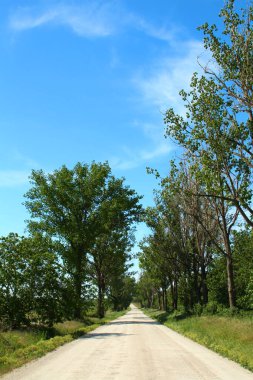 Arka planda kır yolu ve mavi gökyüzü