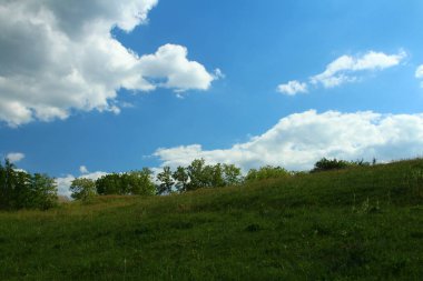 Mavi gökyüzü ve beyaz bulutlu yeşil bir tarla