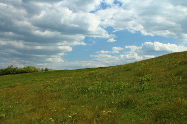 Yeşil çimen ve mavi gökyüzü olan güzel bir manzara.
