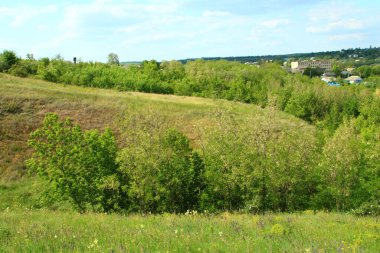 Çimenli ve tarlalı manzara