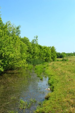 yeşil alan ve gökyüzü