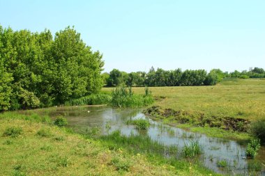 manzara, nehir, doğadaki ağaçlar, köyde yaz mevsimi