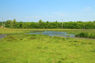 the landscape in the village