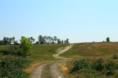 Doğanın güzel manzarası