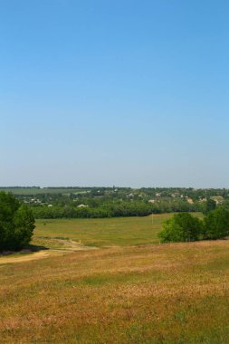 Bir ağaçla güzel bir alanın dikey görüntüsü.