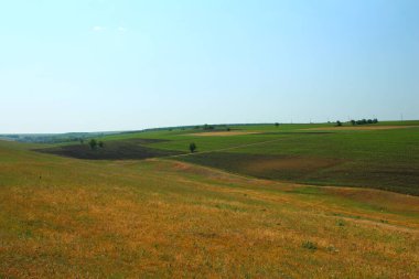 Yeşil çimen ve mavi gökyüzü olan güzel bir manzara.