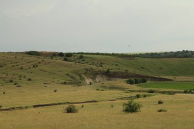 Bir tarlası ve bulutlu mavi gökyüzü olan manzara