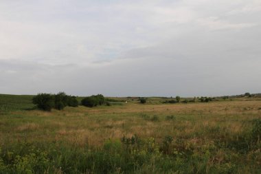 Çimenli ve bulutlu yaz manzarası