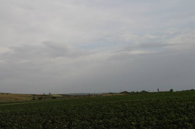 Yeşil ağaçların ve mavi bulutlu gökyüzünün olduğu güzel bir manzara.