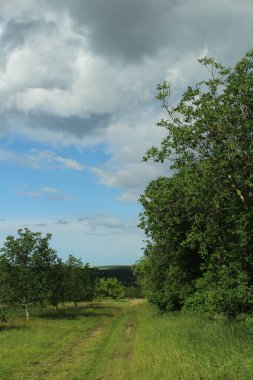 Doğanın güzel manzarası