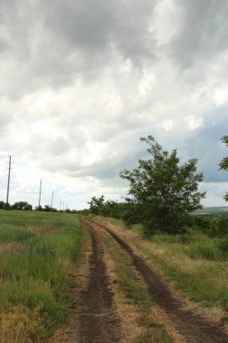 Kırsaldaki bir yolun dikey görüntüsü.