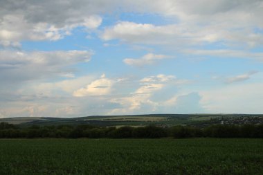 Yeşil alan ve çayır manzarası