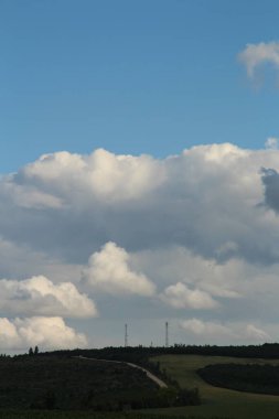 Arka planda yeşil bir bitki olan bulutlu bir gökyüzünün güzel manzarası.
