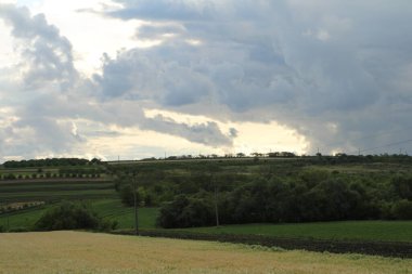 Gökyüzündeki tarla ve bulutlar