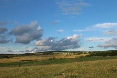 Yaz manzarası, mavi gökyüzü, bulutlar, çimen, çayır, ağaçlar, çimen, doğa, arazi, çayır, çayır,