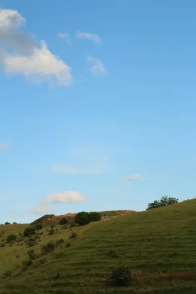 Dağları ve ağaçları olan güzel bir manzara.