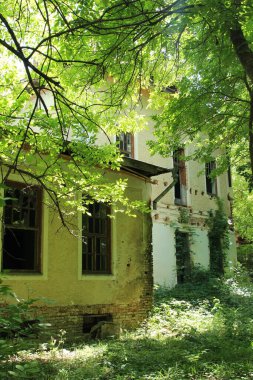 Ormanda terk edilmiş bir ev.