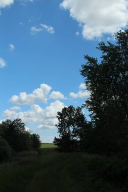 Tarlaların manzarası
