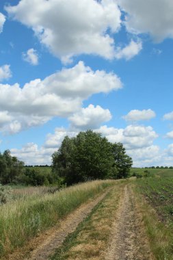 Kırsal bölgede bulutlu bir gökyüzü var.