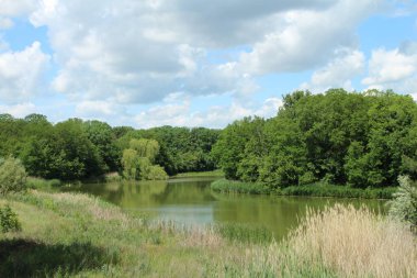 Bir gölet, bir nehir, ağaçlar ve beyaz bir bulutla yaz manzarası.