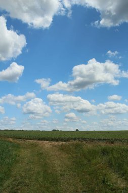 Doğanın güzel manzarası