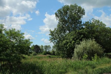 Doğanın güzel manzarası