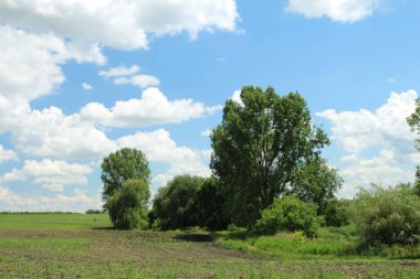 alan ve gökyüzü bulutlu