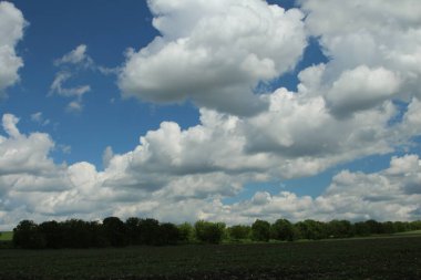 Mavi gökyüzü olan alan