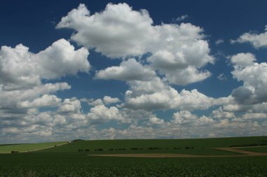 Yeşil çimenli ve bulutlu bir gökyüzü.