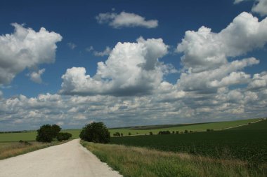 İsrail 'in kuzeyindeki kırsal alanda buğday köyüne giden yol..