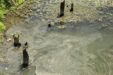 Küçük nehir köyün yakınında yer alıyor.