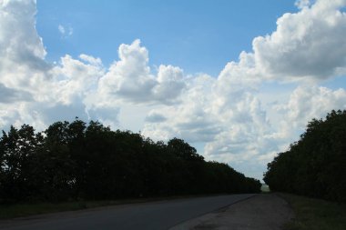 yol ve ağaçlar ile güzel yaz manzara