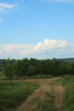 Doğanın güzel manzarası