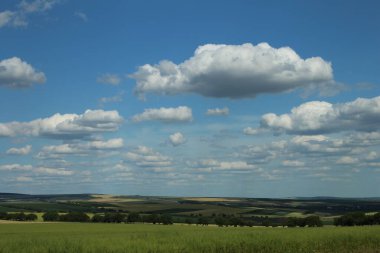 Mavi gökyüzü ile güzel yeşil tarla